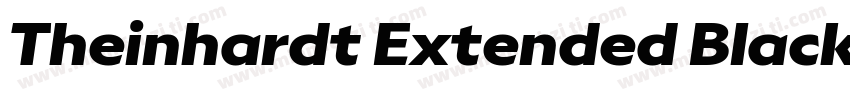 Theinhardt Extended Black Italic字体转换